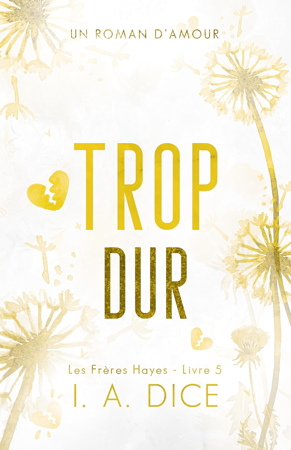 Trop dur: Les Frères Hayes - Livre 5